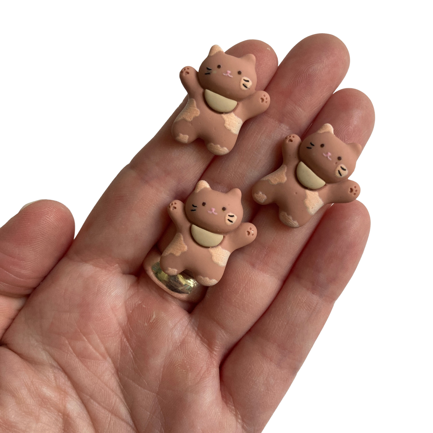 Brown Cat Magnets