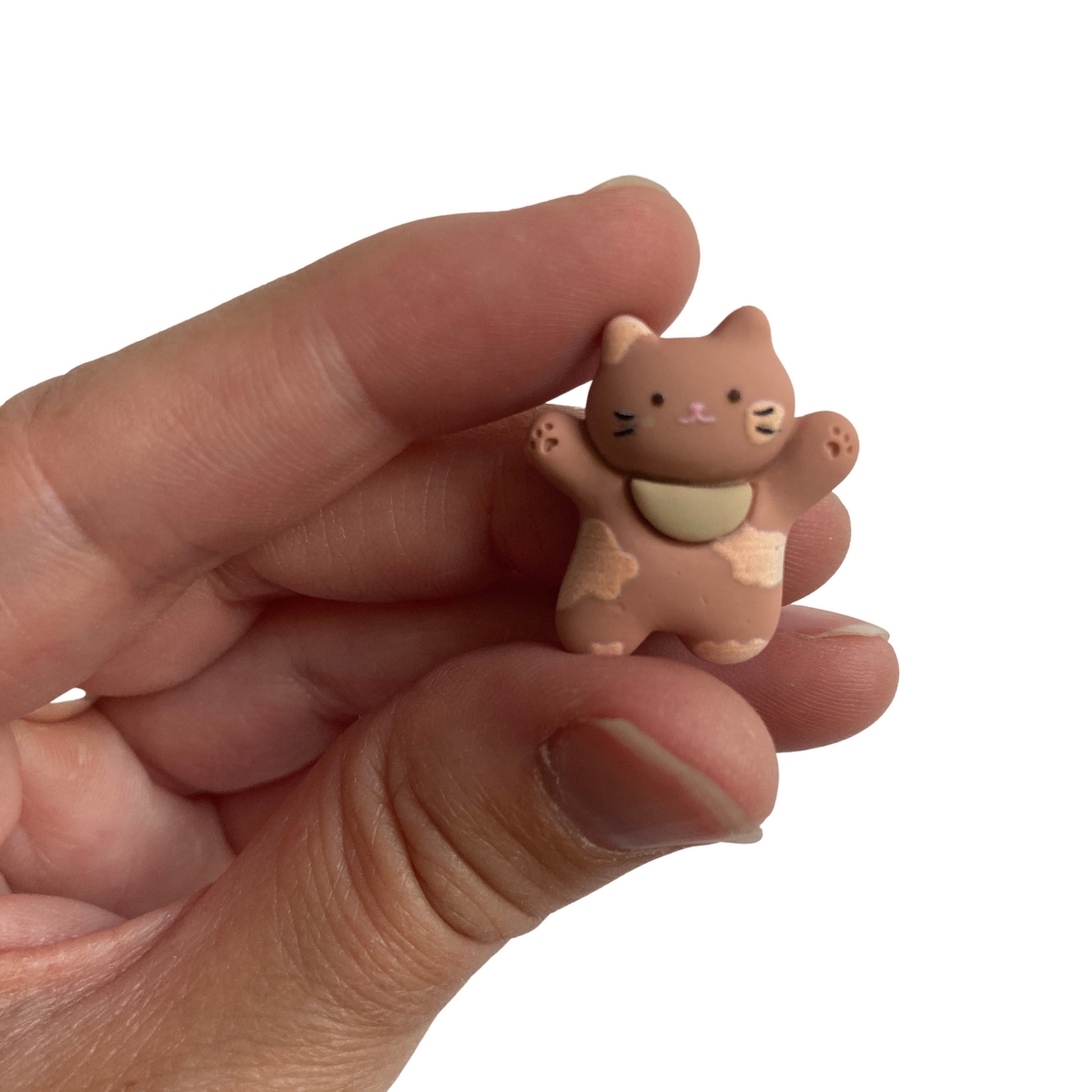 Brown Cat Magnets