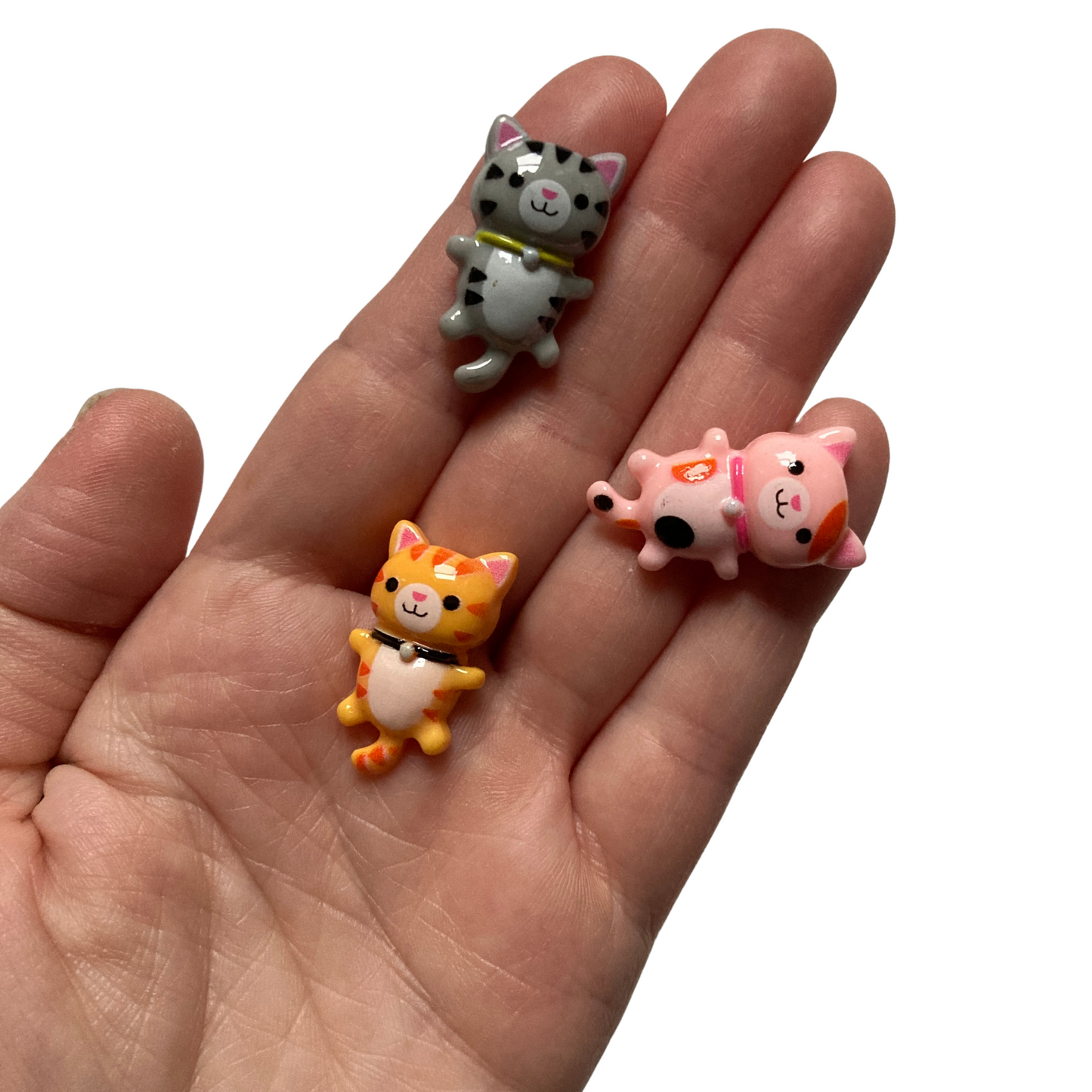 Multicolored Cat Magnets