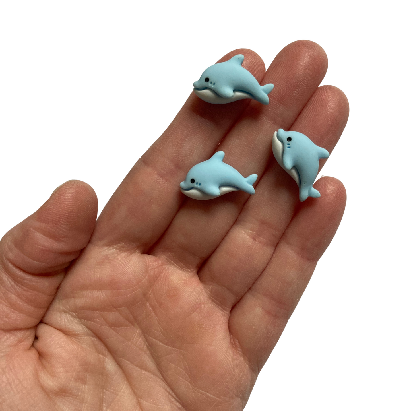 Dolphin Magnets