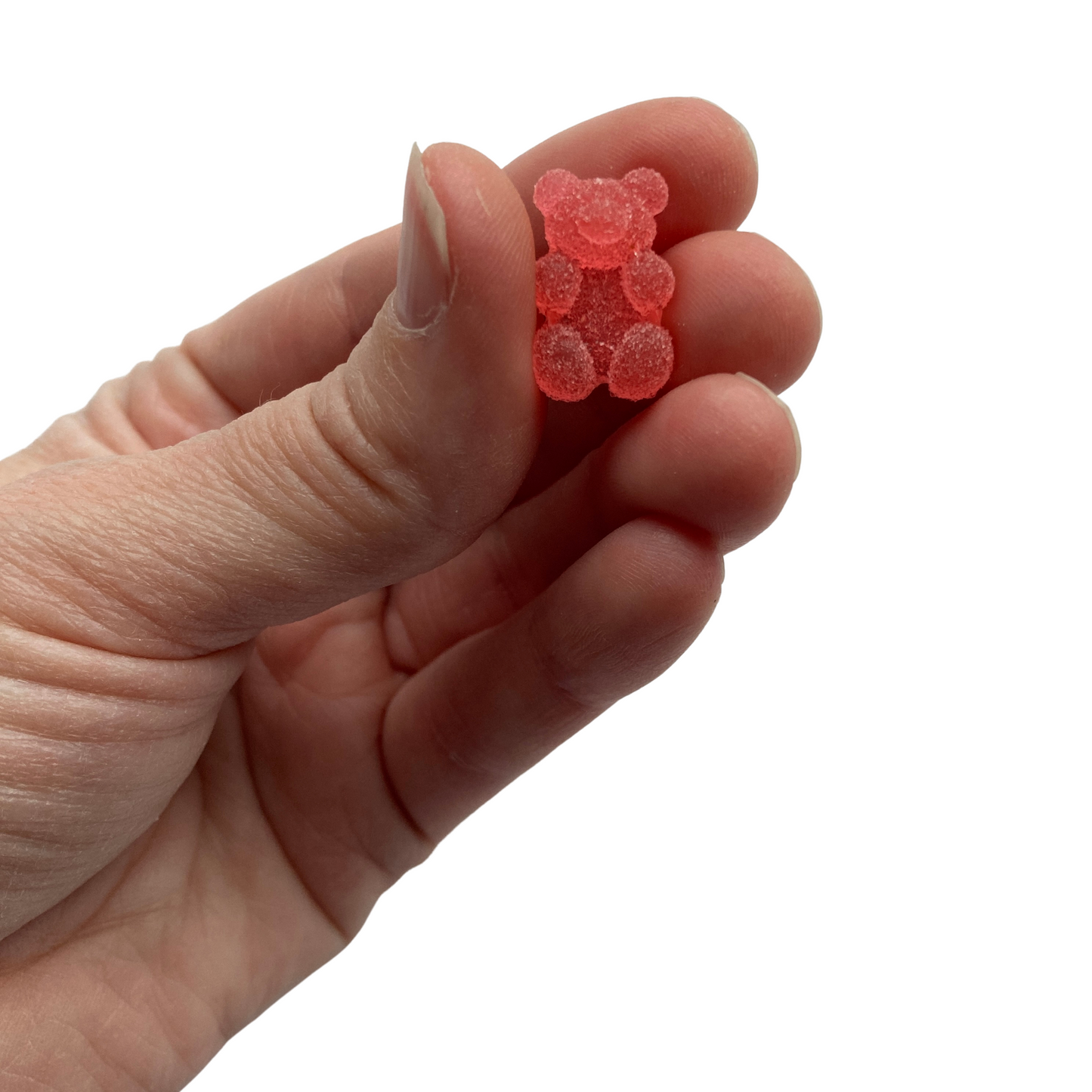 Sour Gummy Bear Magnets