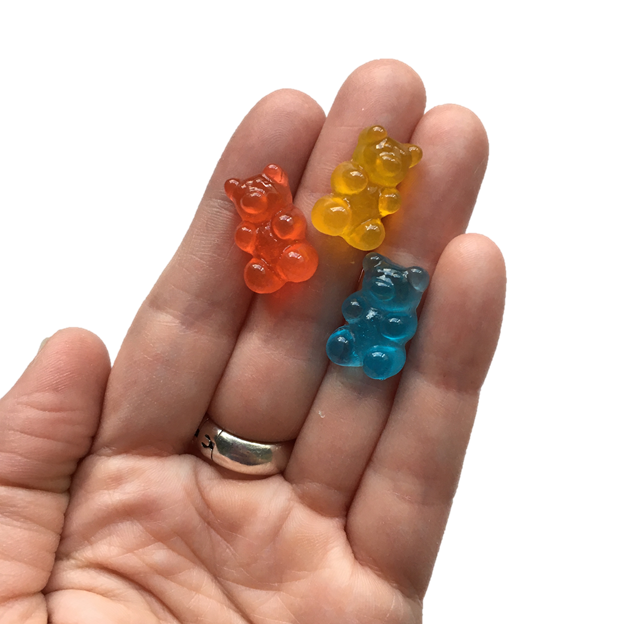 Gummy Bear Magnets