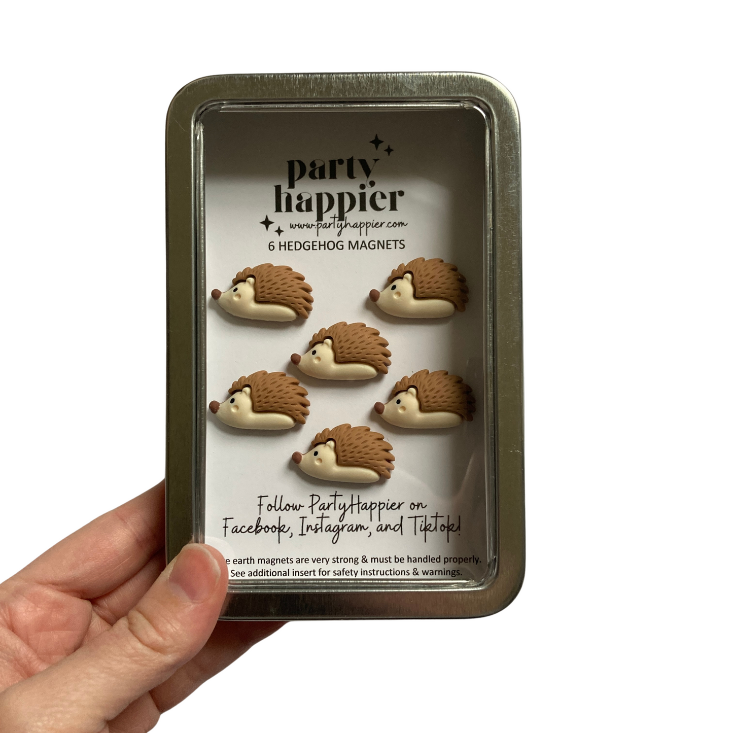 Hedgehog Magnets