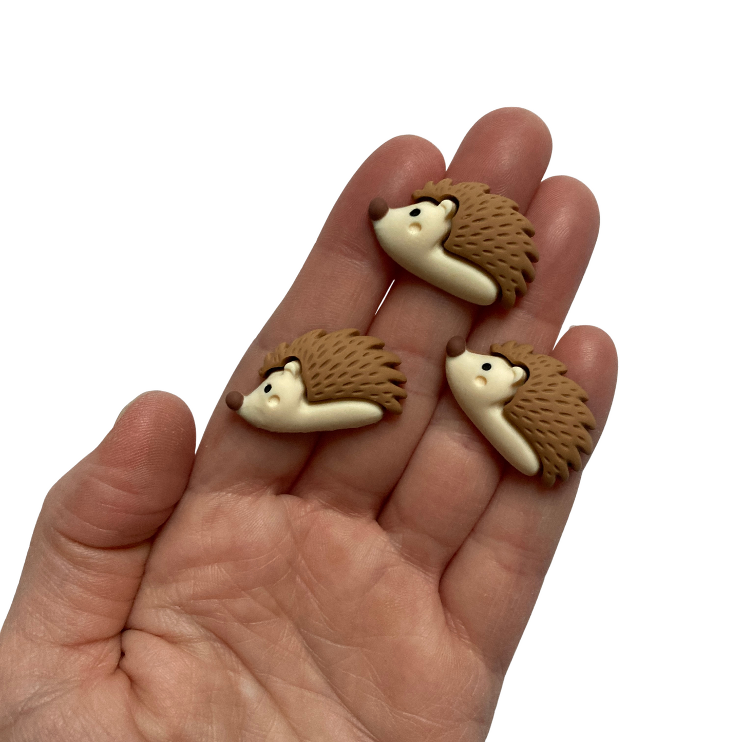 Hedgehog Magnets