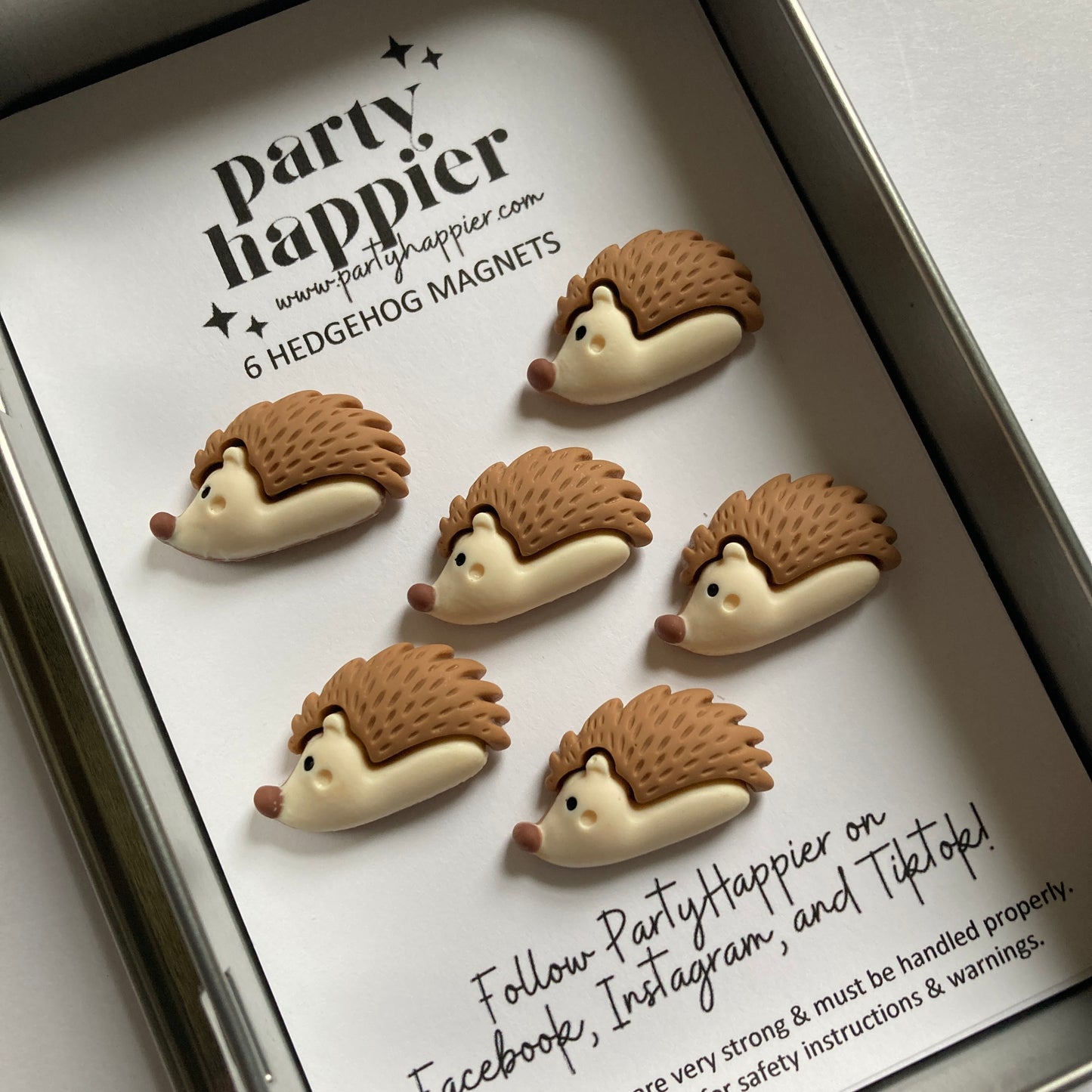 Hedgehog Magnets