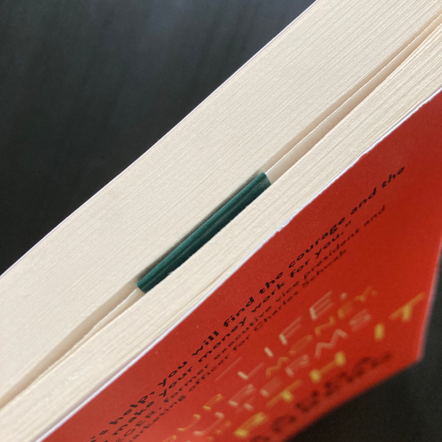 I Like Reading Books Magnetic Bookmark