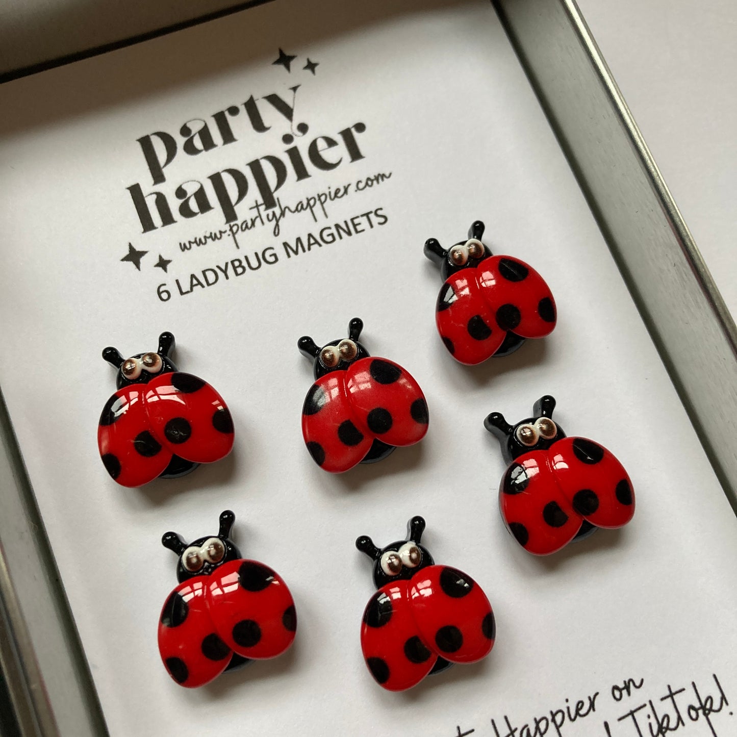 Ladybug Magnets