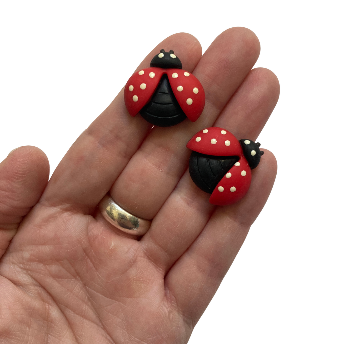 Ladybug Magnets