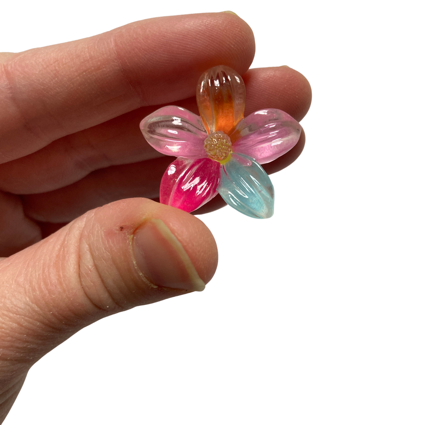 Multicolor Floral Magnets
