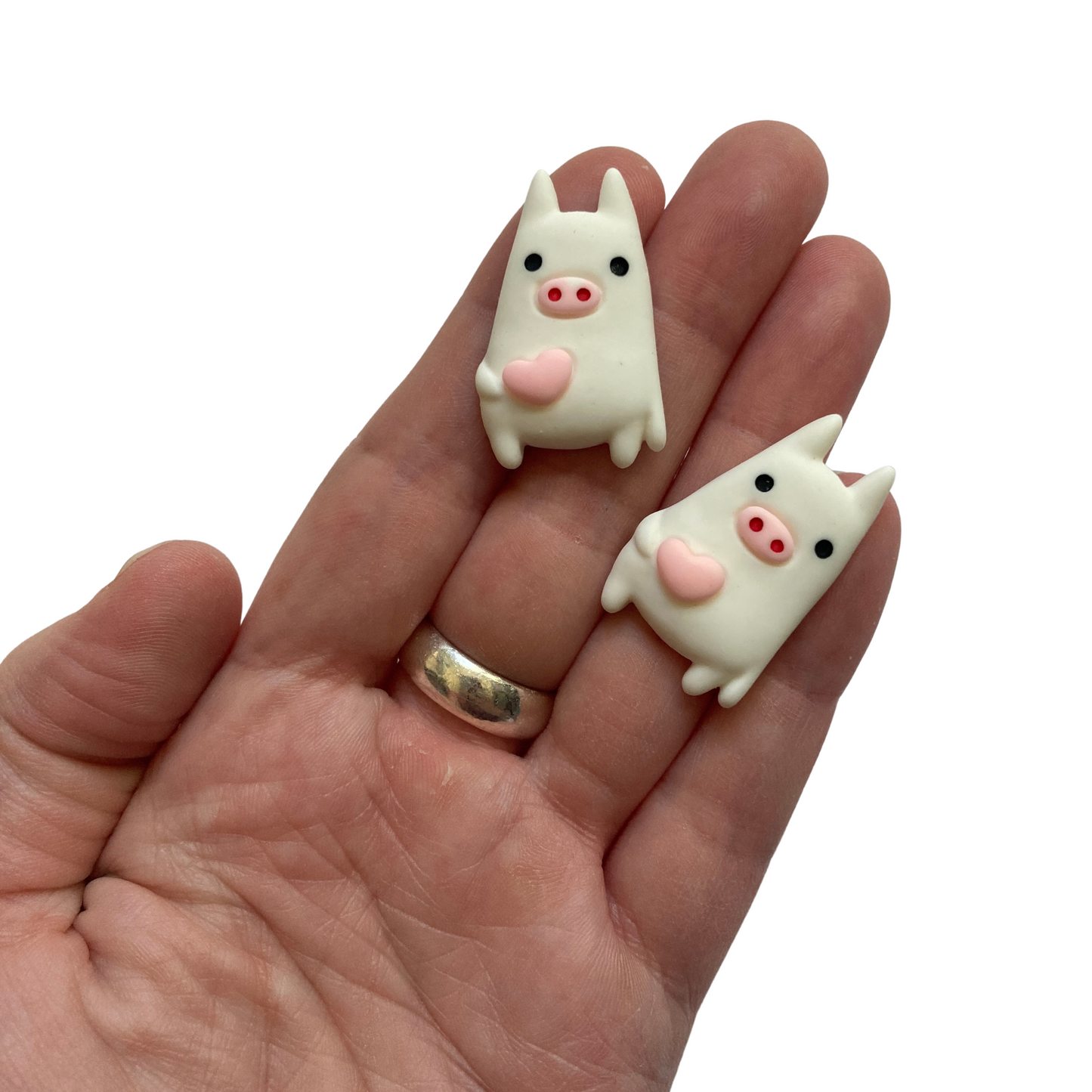 Large Pig Magnets