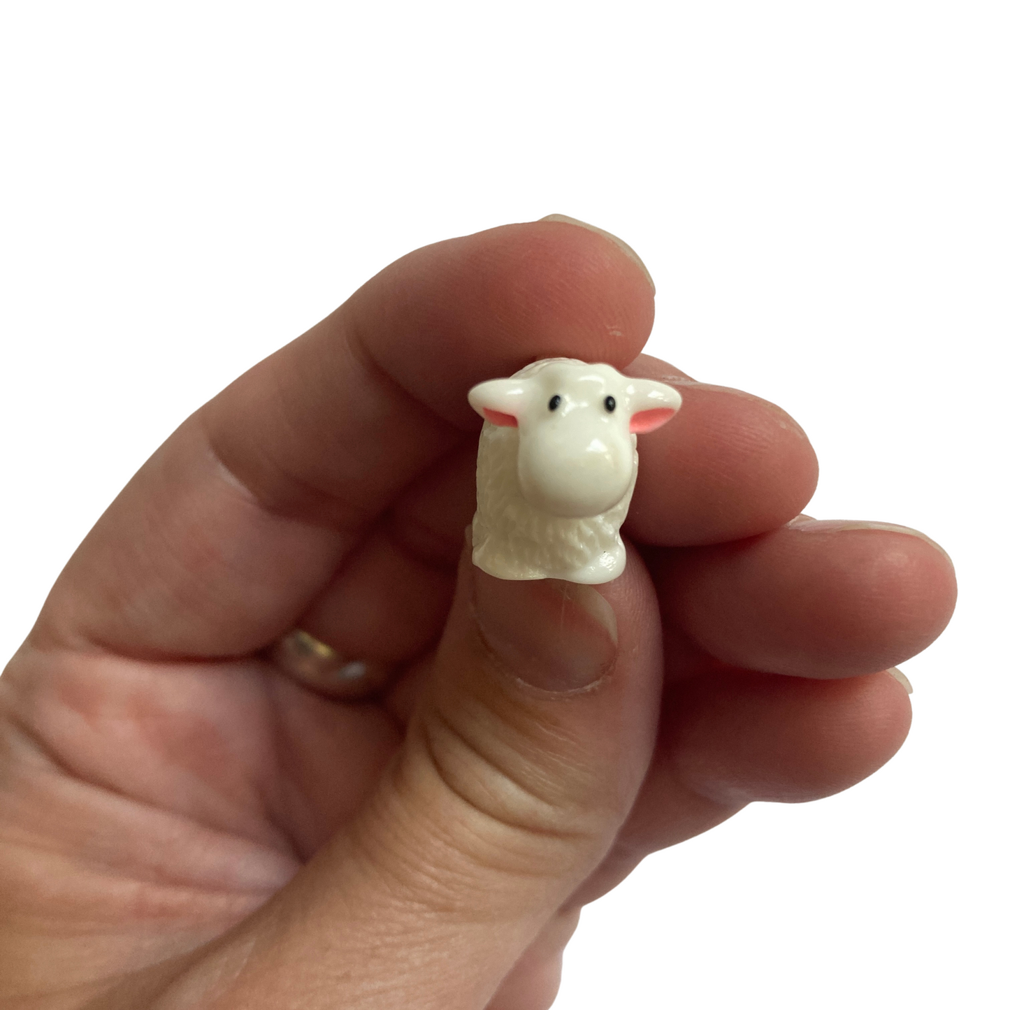 Sheep Magnets