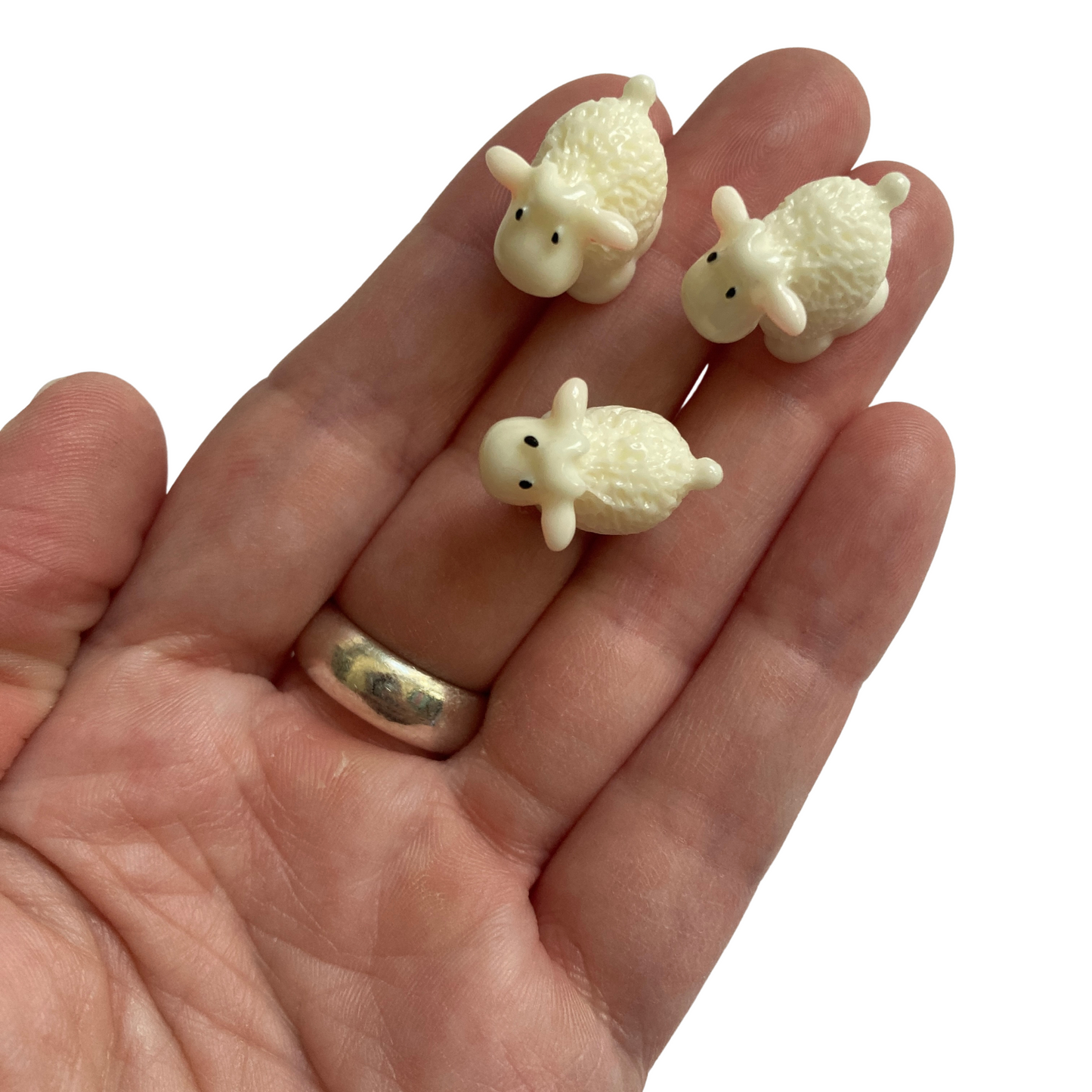 Sheep Magnets