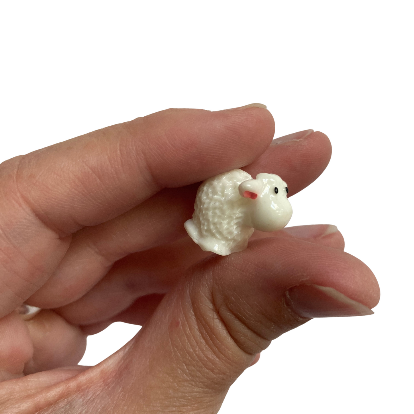 Sheep Magnets
