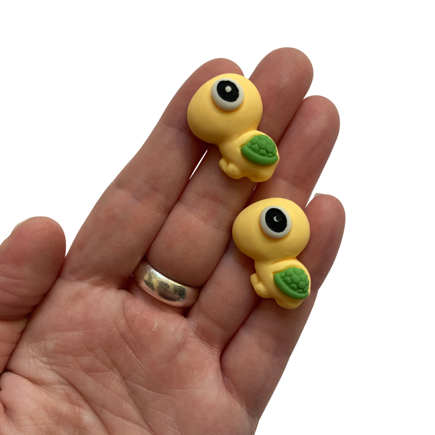 Large Turtle Magnets