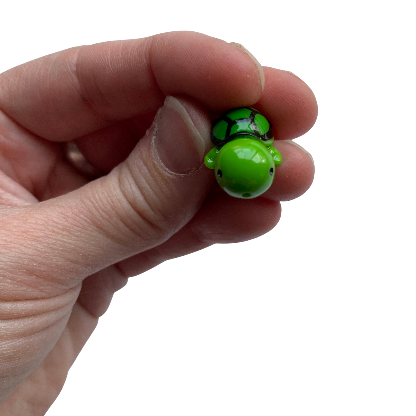 Mini Turtle Magnets