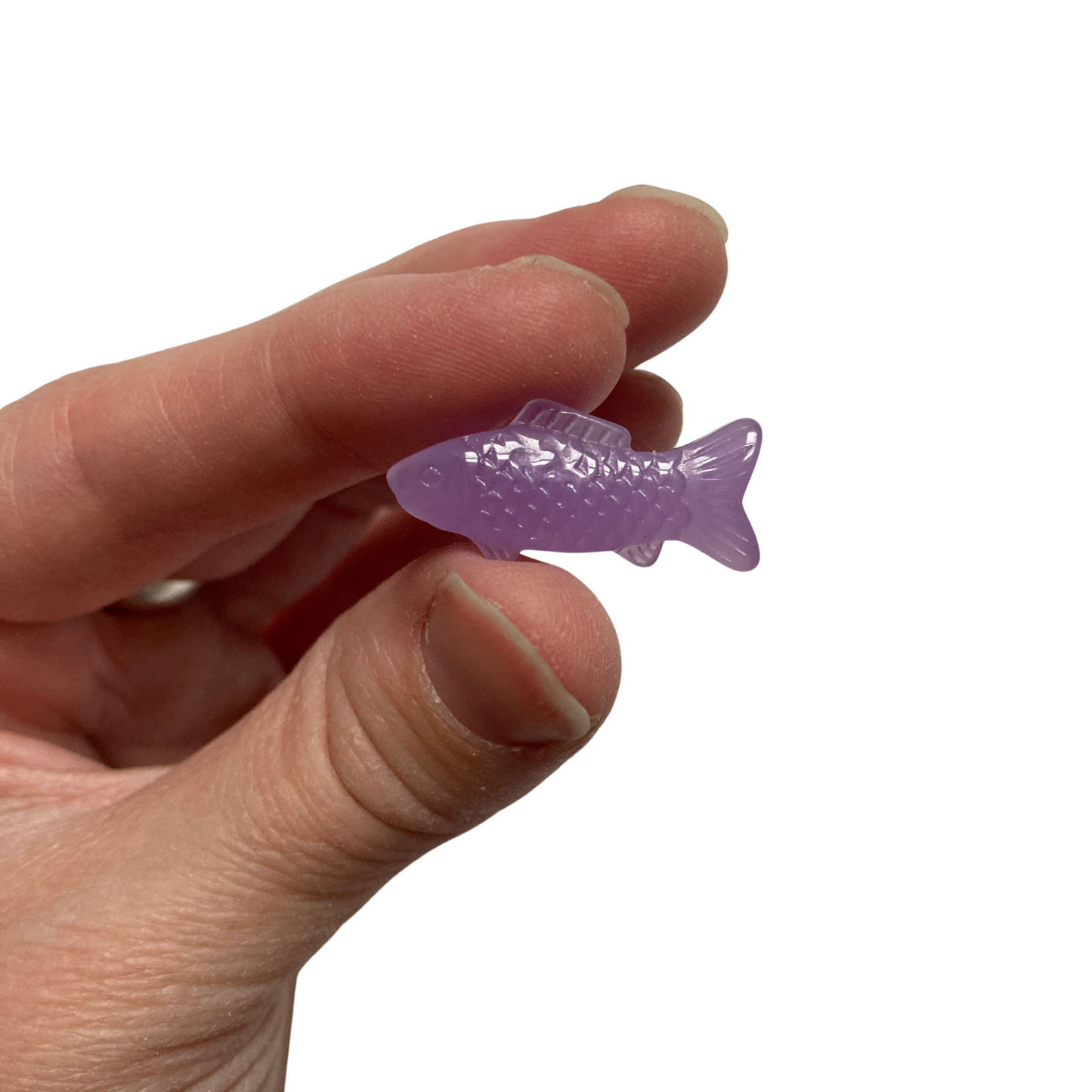 Swedish Fish Magnets