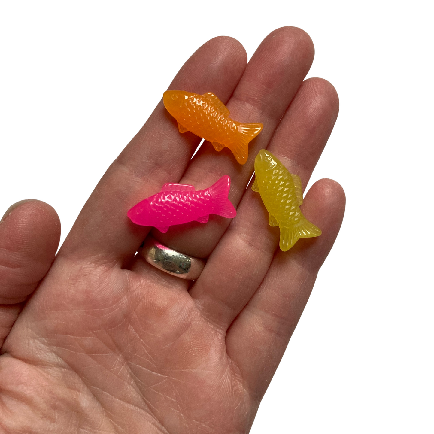 Swedish Fish Magnets