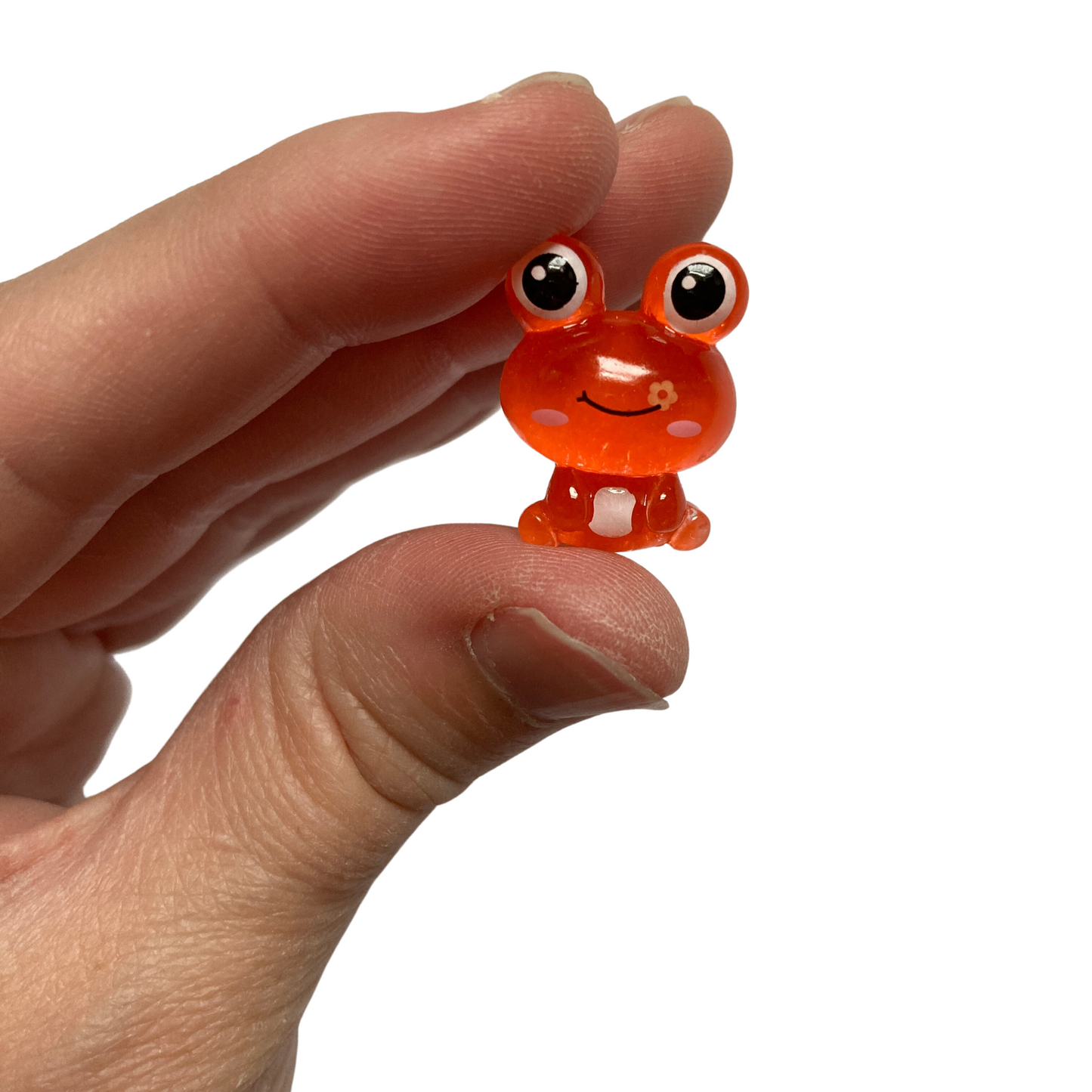 Frog Magnets