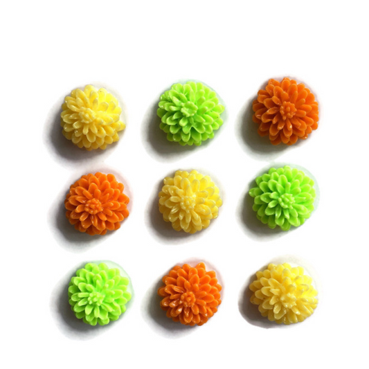 Citrus Floral Magnets