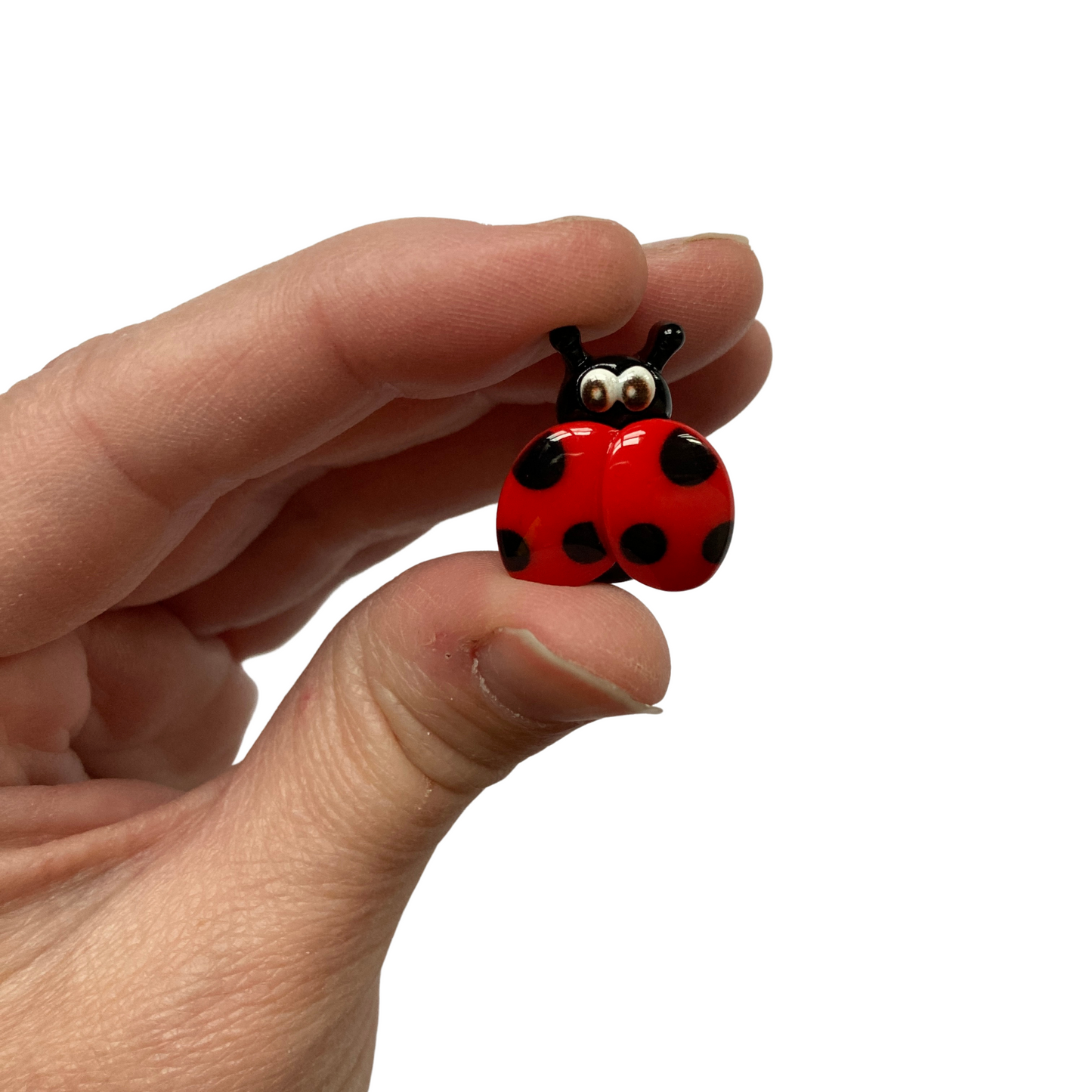 Ladybug Magnets