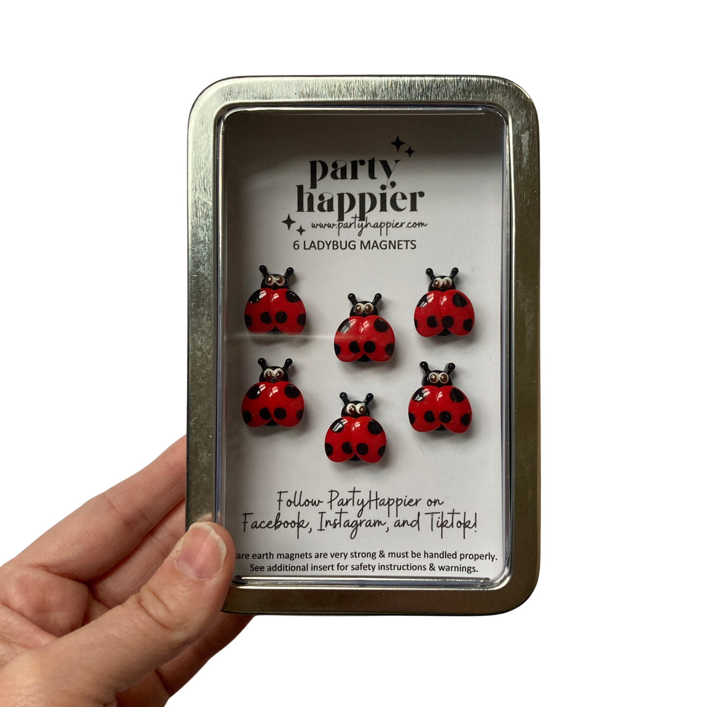 Ladybug Magnets