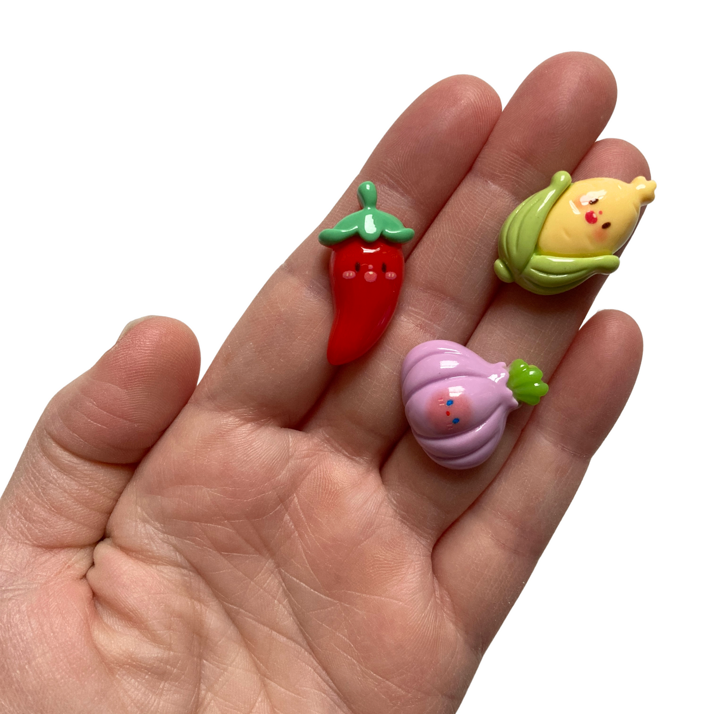 Vegetable Magnets