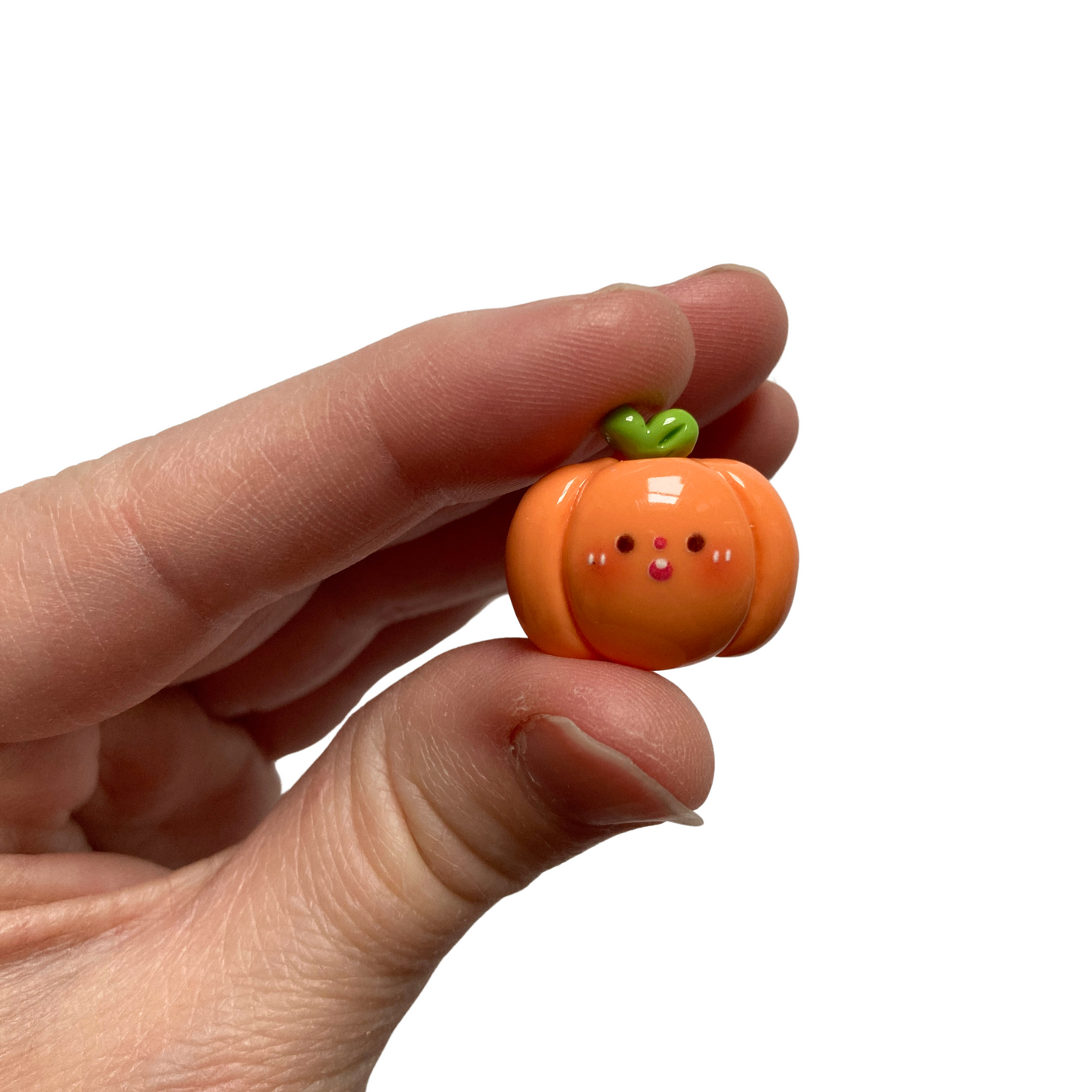 Vegetable Magnets