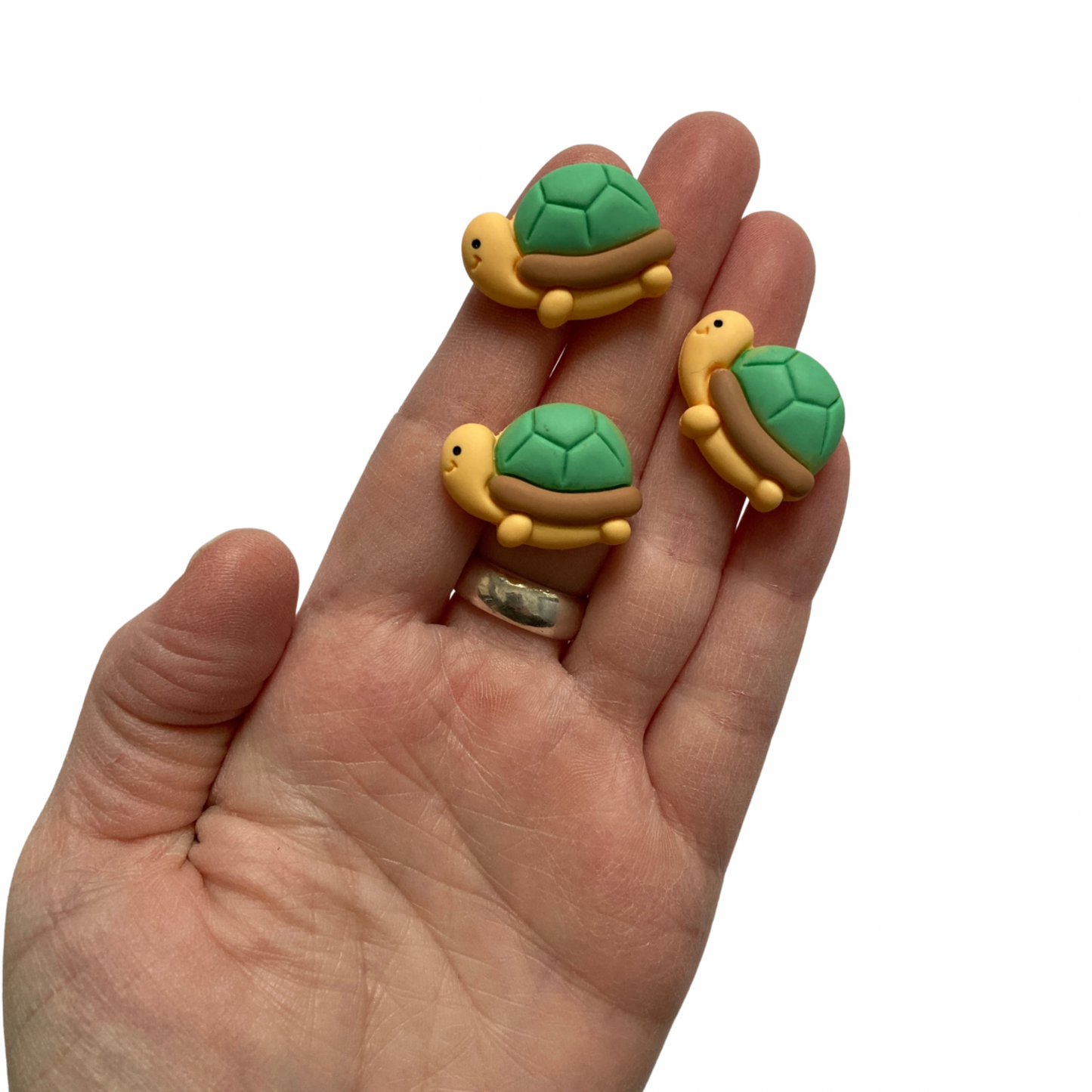 Turtle Magnets