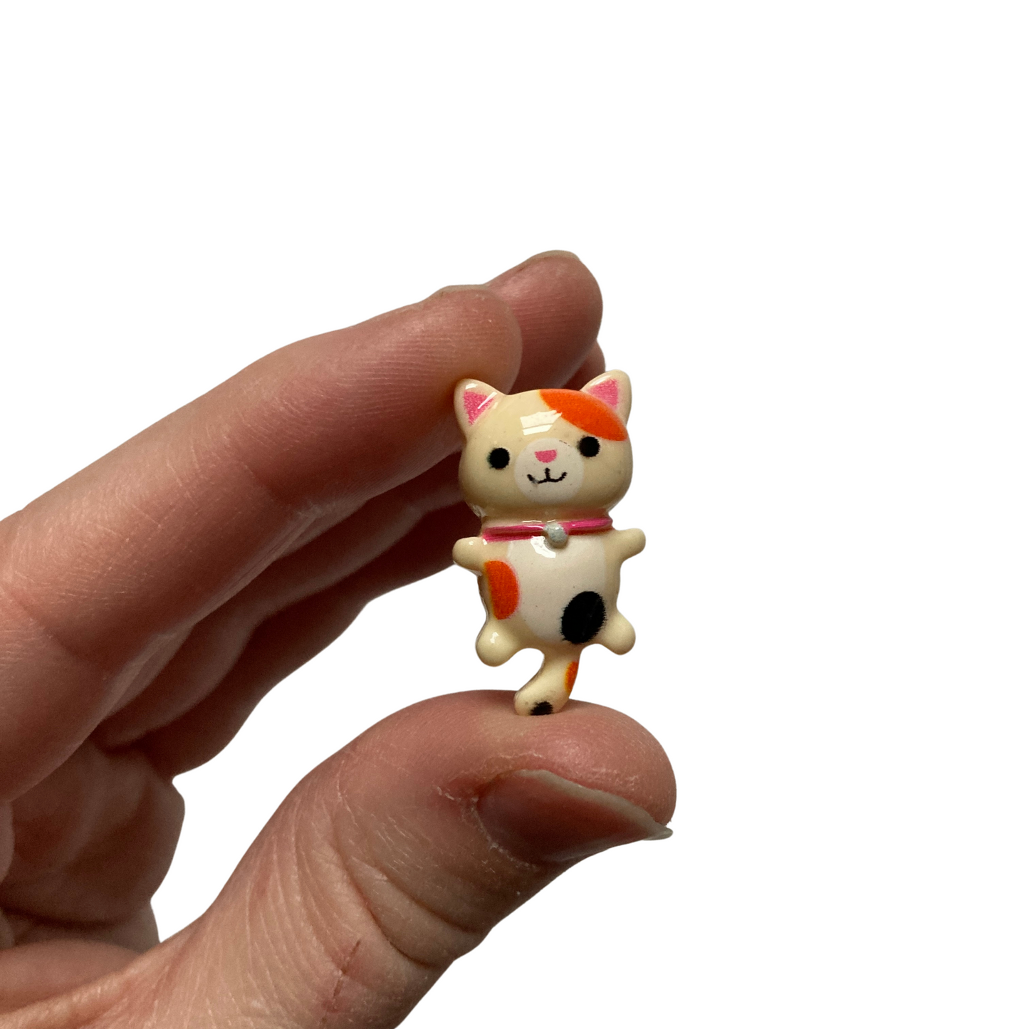 Multicolored Cat Magnets