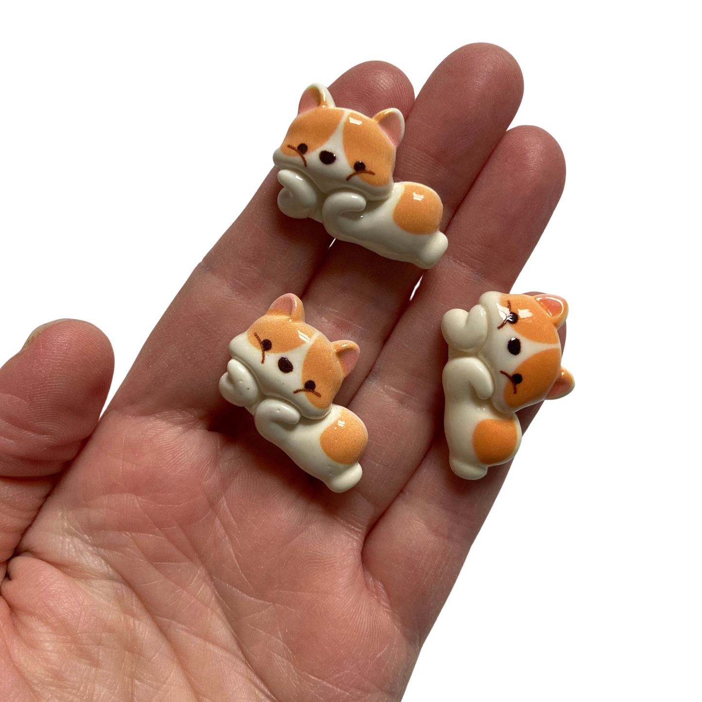 Relaxing Corgi Magnets