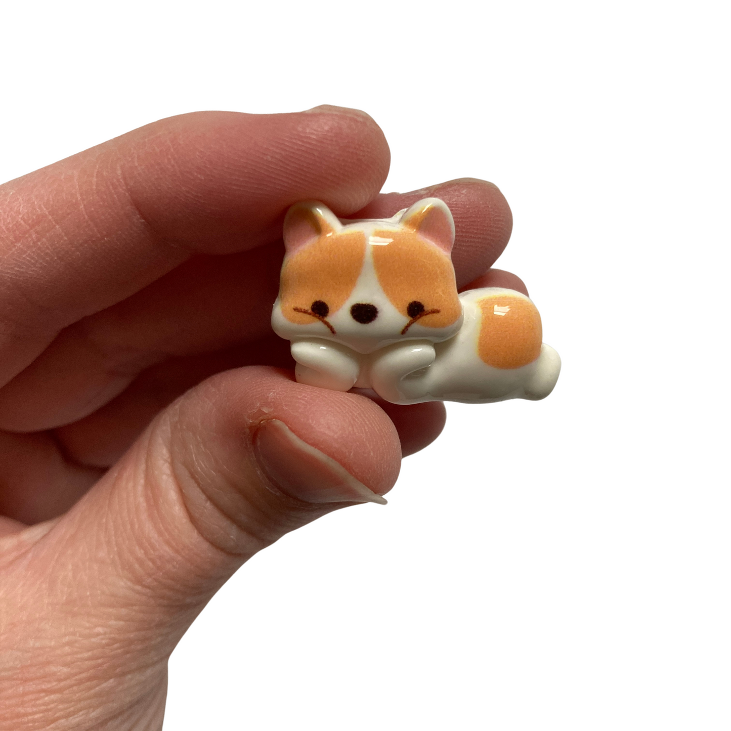 Relaxing Corgi Magnets