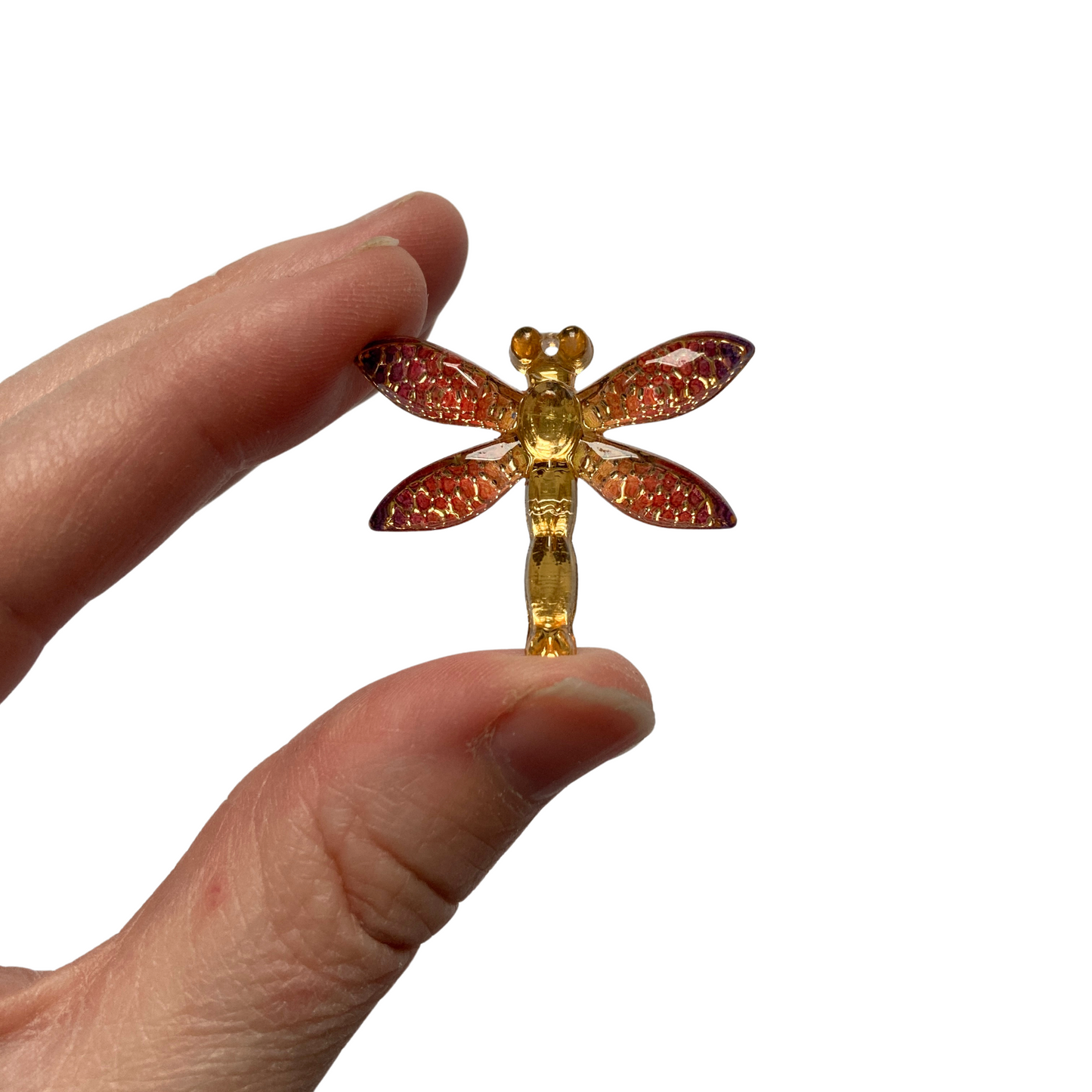 Dragonfly Magnets