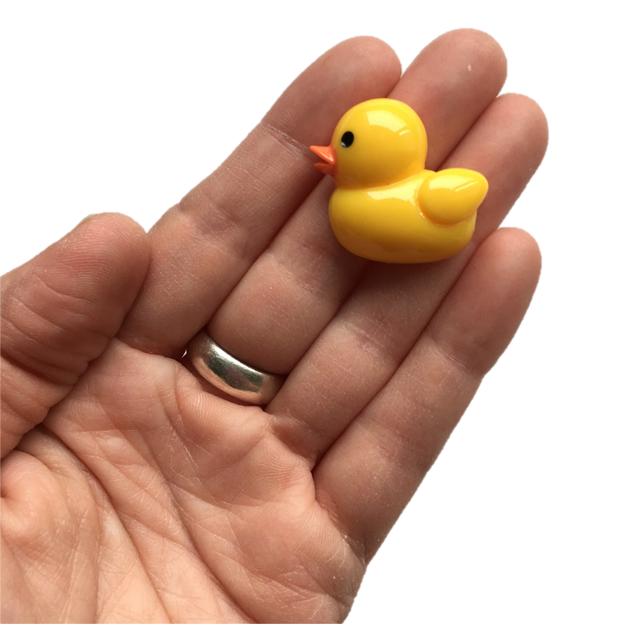 Rubber Ducky Magnets