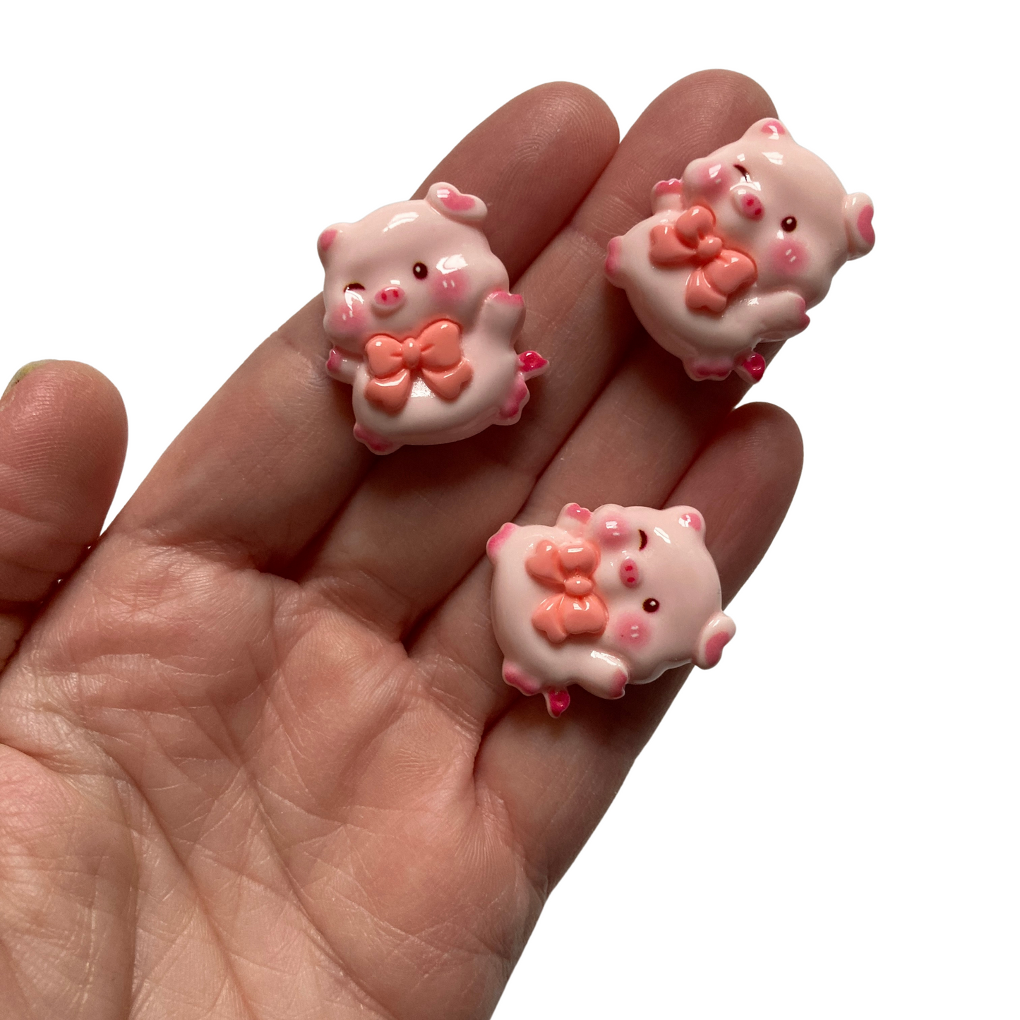 Fancy Pig Magnets