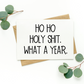 Ho Ho Holy Shit What A Year Card