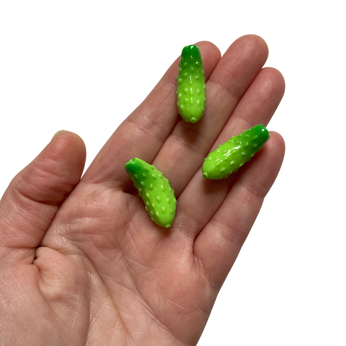Pickle Magnets