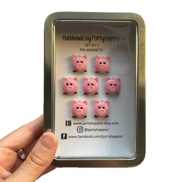 Mini Pig Magnets