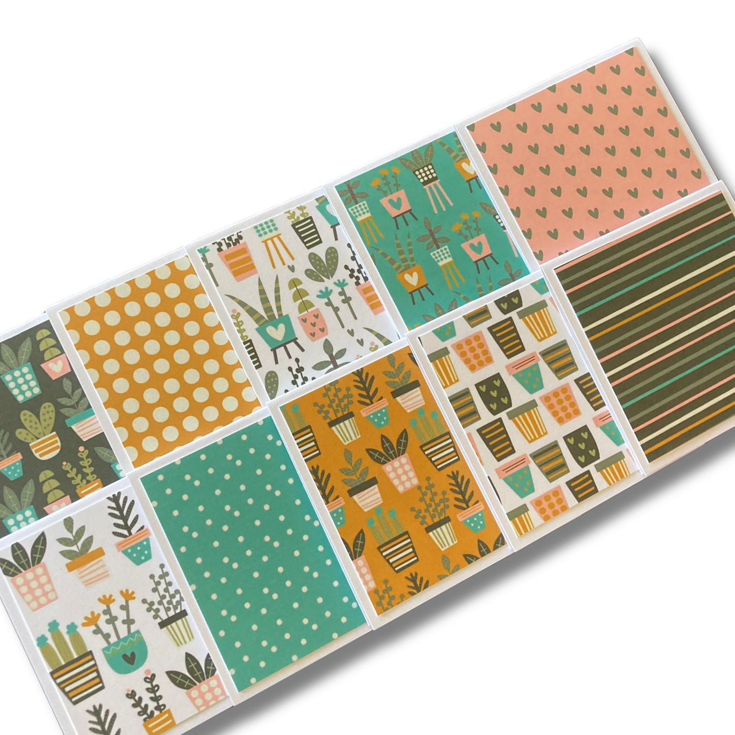 3x3 Plant Life Note Cards