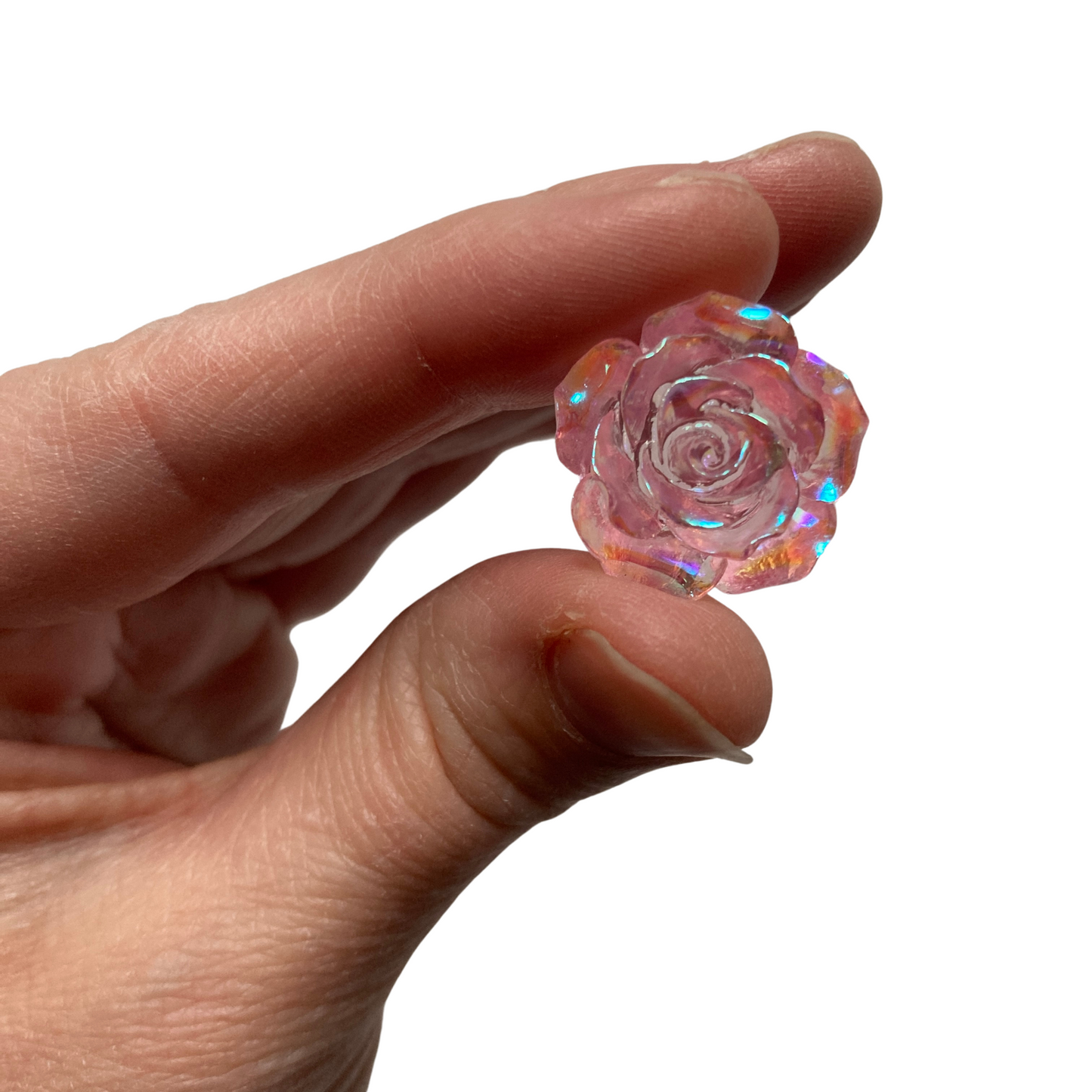 Shimmery Rose Magnets