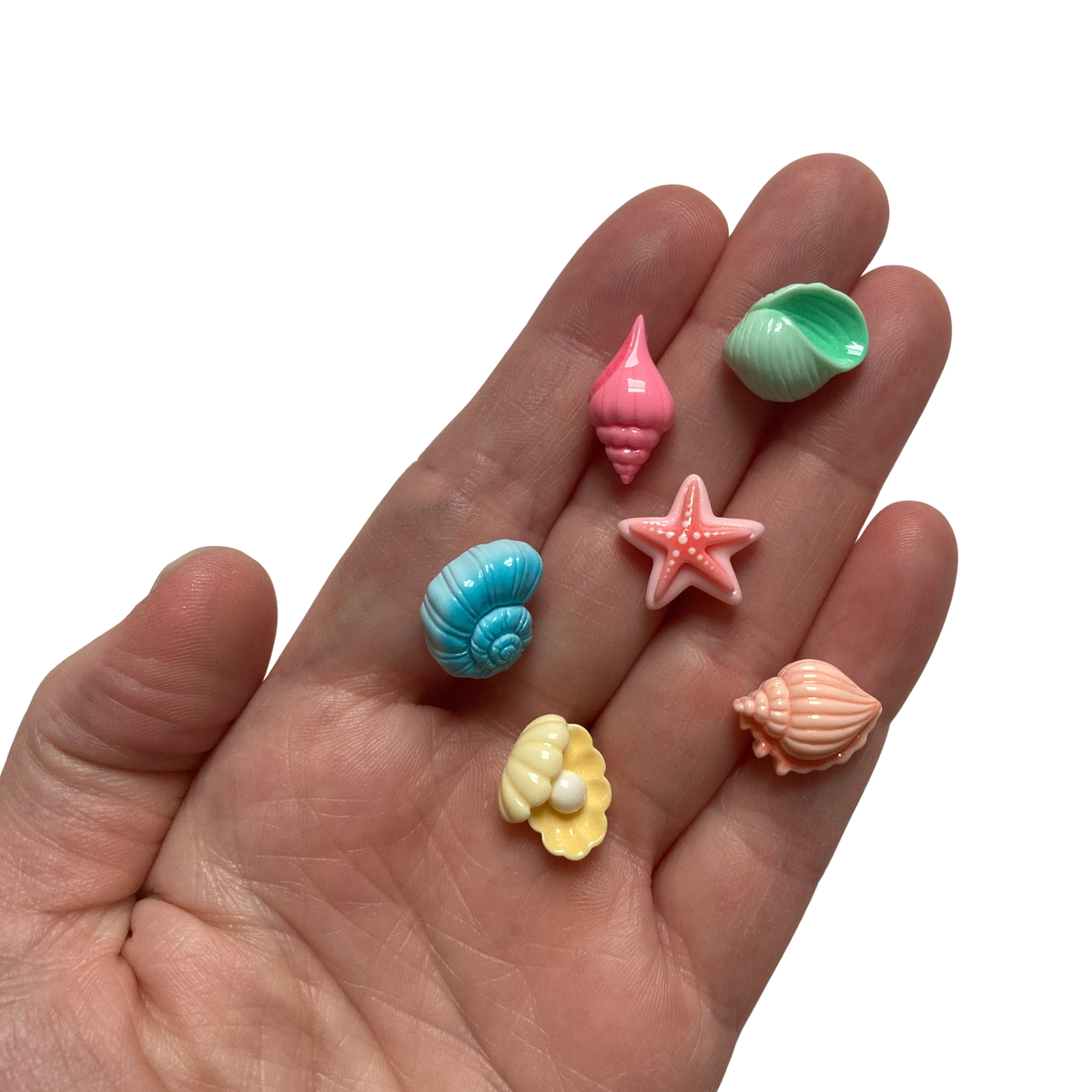 Mini Seashell Magnets