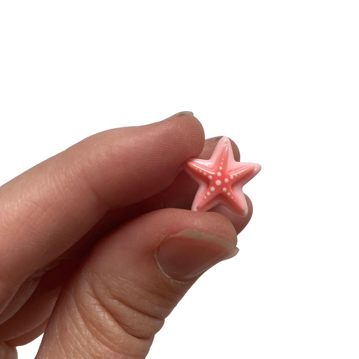 Mini Seashell Magnets