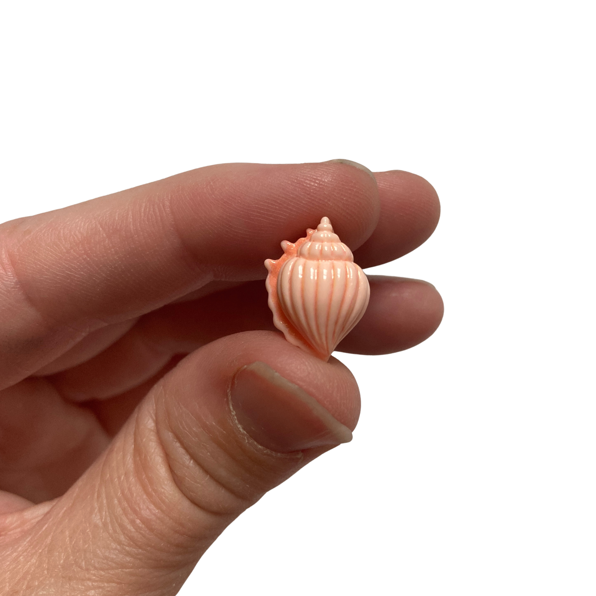 Mini Seashell Magnets