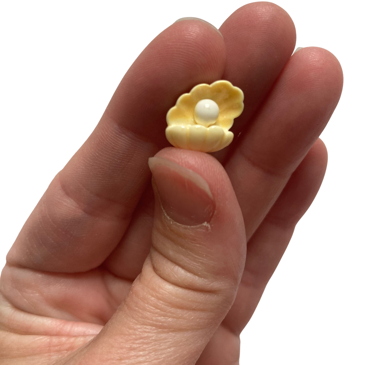 Mini Seashell Magnets