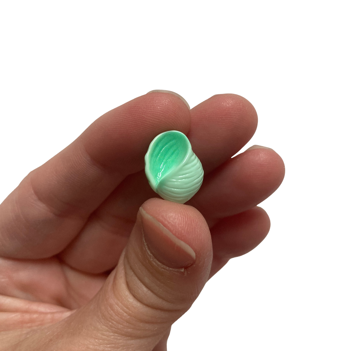 Mini Seashell Magnets