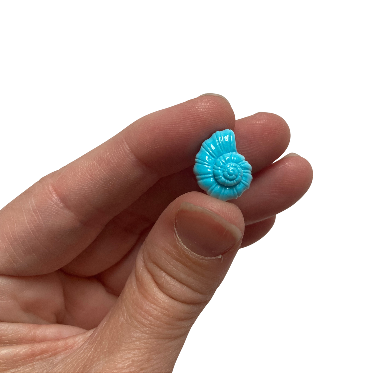 Mini Seashell Magnets