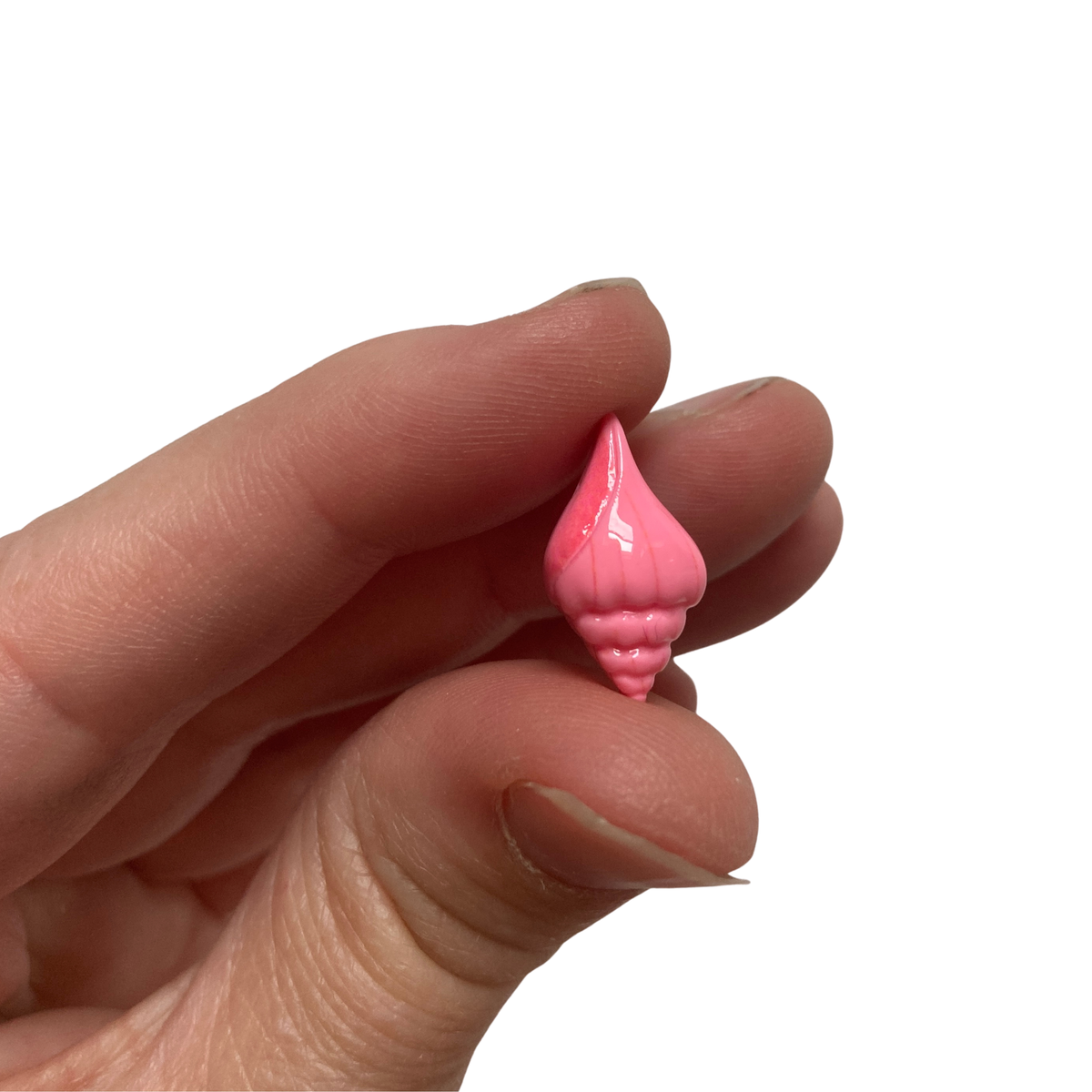 Mini Seashell Magnets