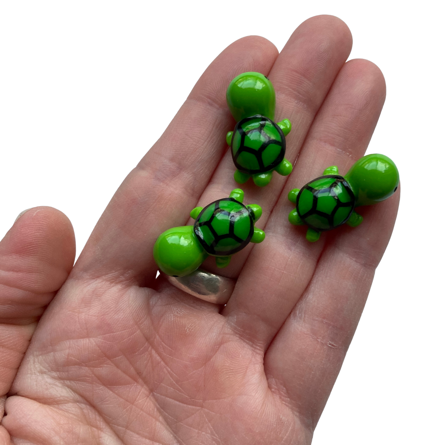 Mini Turtle Magnets