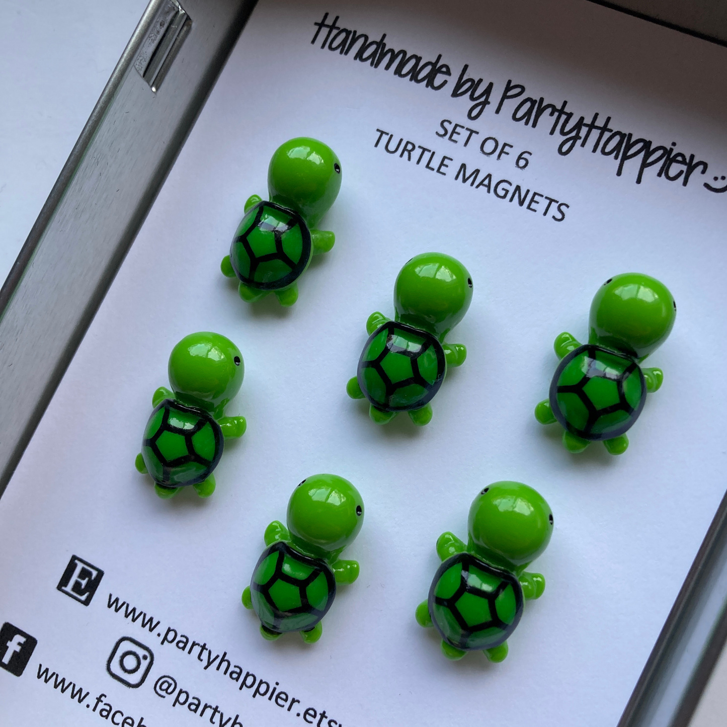 Mini Turtle Magnets