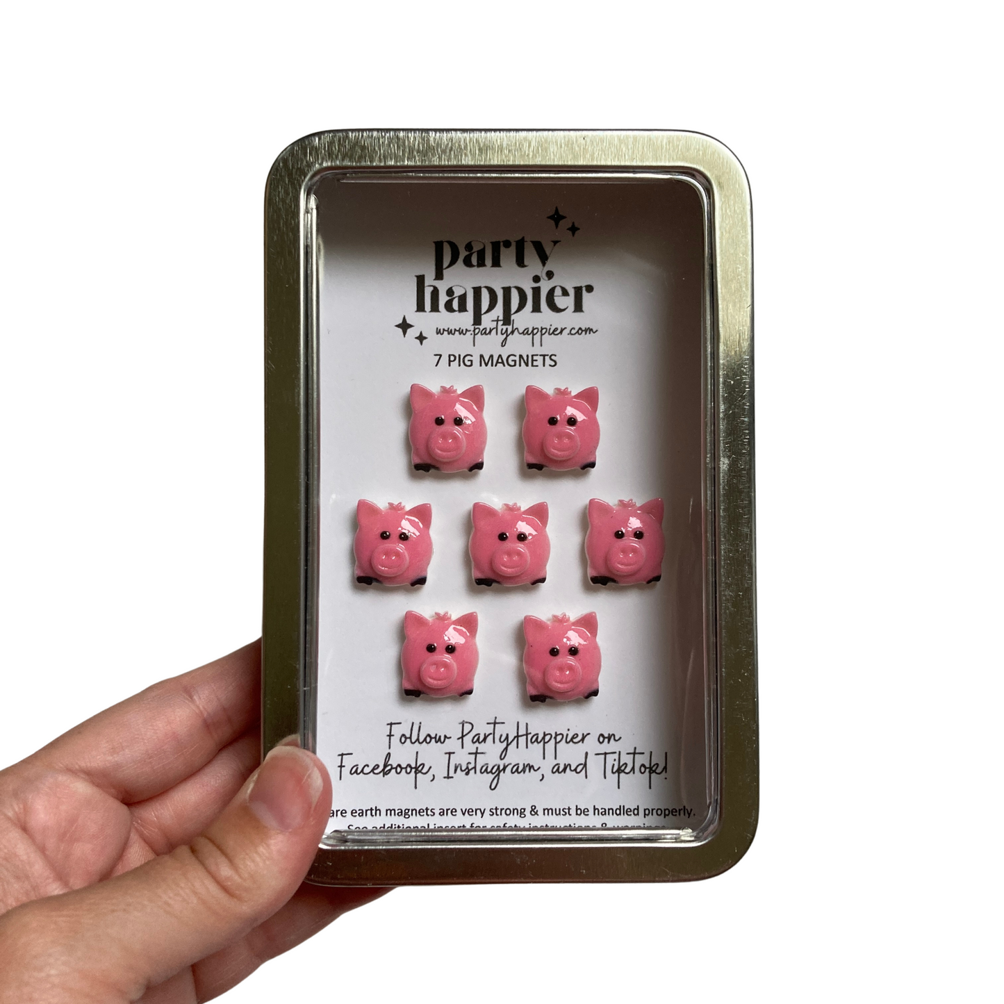 Mini Pig Magnets