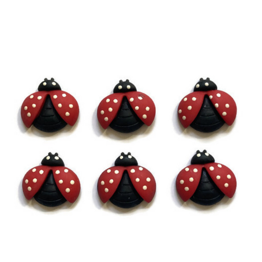 Ladybug Magnets